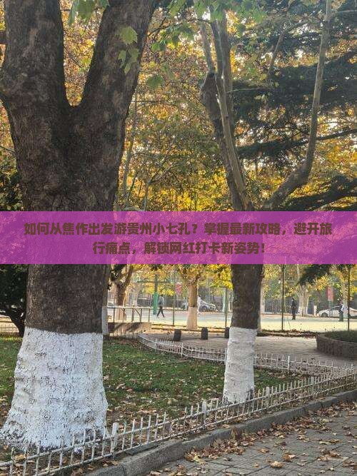 如何从焦作出发游贵州小七孔？掌握最新攻略，避开旅行痛点，解锁网红打卡新姿势！