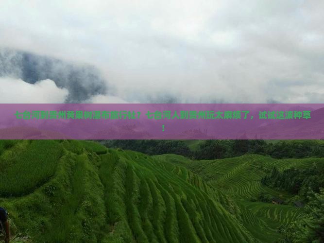 七台河到贵州黄果树瀑布旅行社？七台河人到贵州玩太麻烦了，试试这波种草！