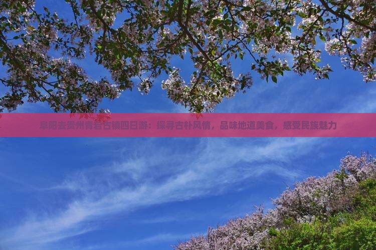 阜阳去贵州青岩古镇四日游：探寻古朴风情，品味地道美食，感受民族魅力