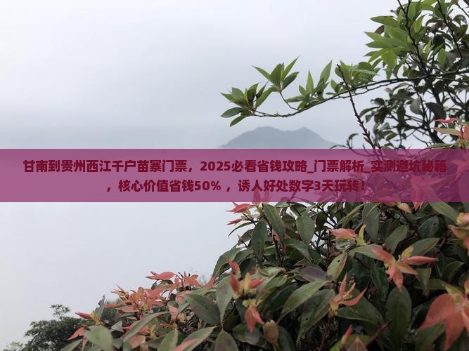甘南到贵州西江千户苗寨门票