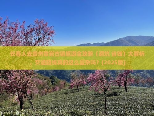 长春去贵州青岩古镇必去地