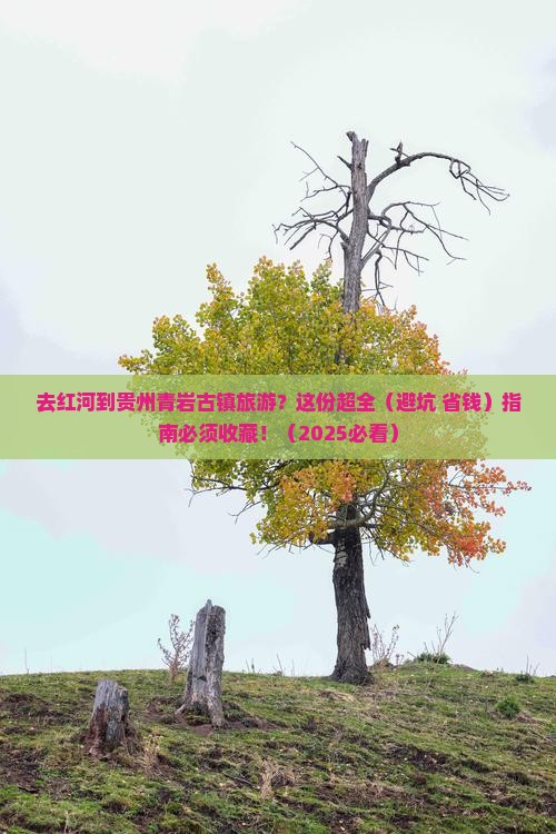 红河到贵州青岩古镇旅游
