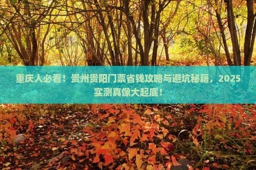 重庆去贵州贵阳门票