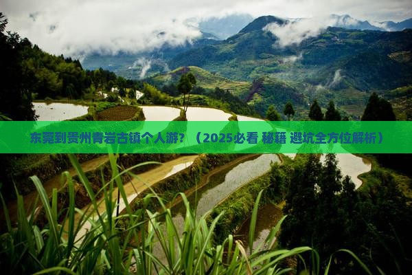 东莞到贵州青岩古镇个人游