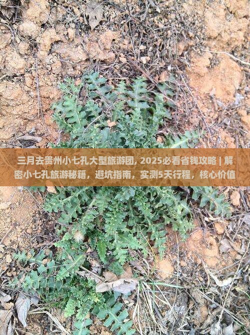 三月去贵州小七孔大型旅游团
