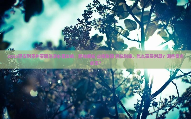 延安去贵州贵阳哪里玩