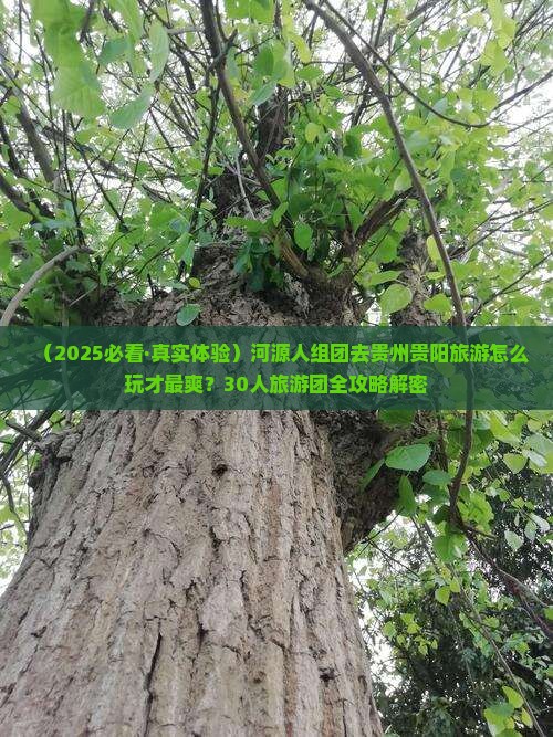 河源去贵州贵阳大型旅游团