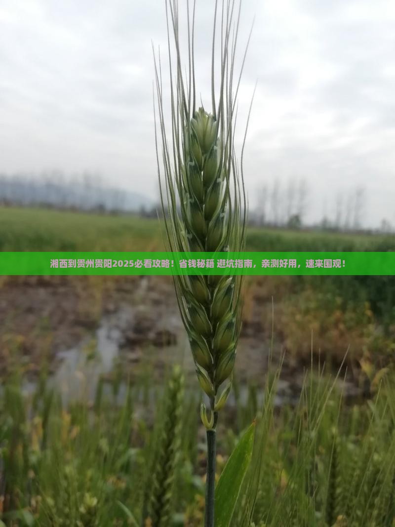湘西到贵州贵阳攻略