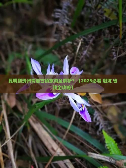昆明到贵州青岩古镇旅游