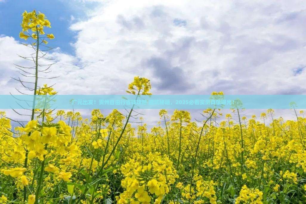 广元去贵州自由行