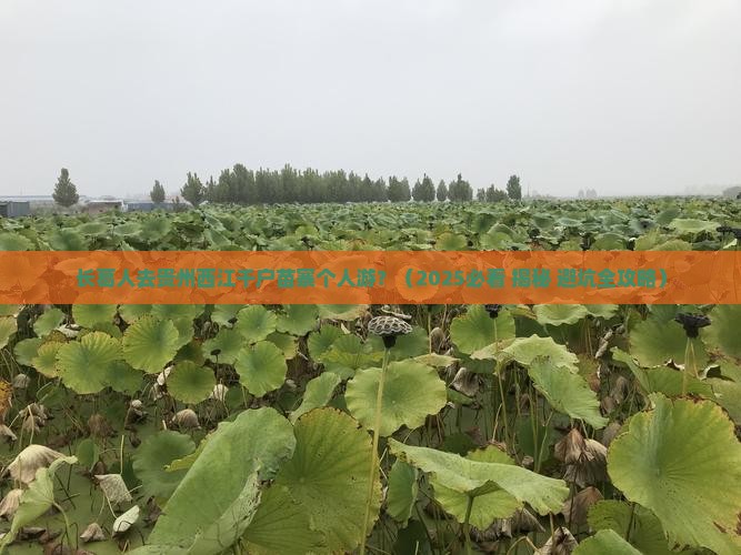 长葛到贵州西江千户苗寨个人游
