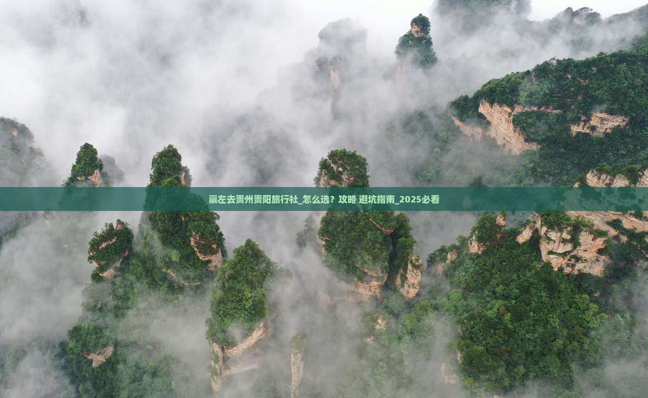 崇左去贵州贵阳旅行社
