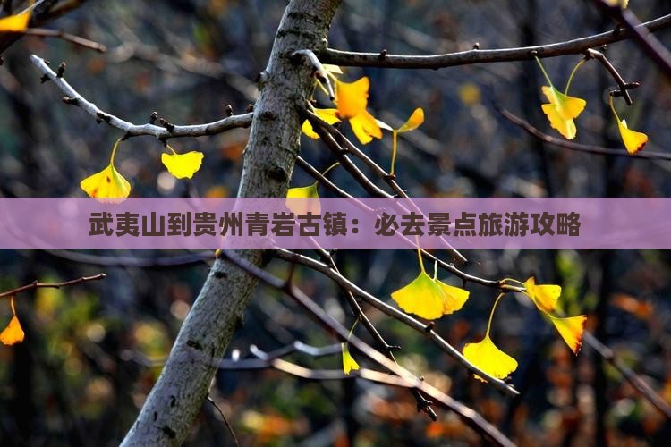 武夷山到贵州青岩古镇必去地