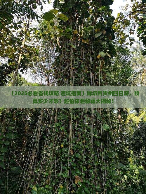廊坊到贵州四日游