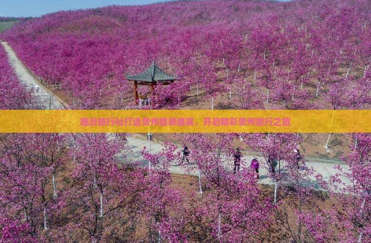临汾旅行社打造贵州旅游盛宴，开启精彩贵州旅行之旅