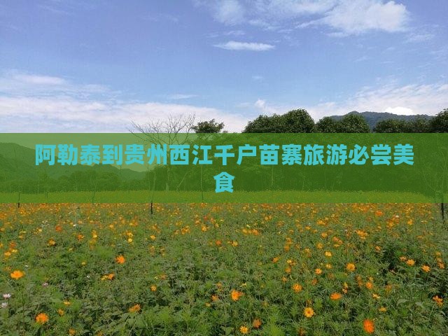 阿勒泰到贵州西江千户苗寨旅游必尝美食