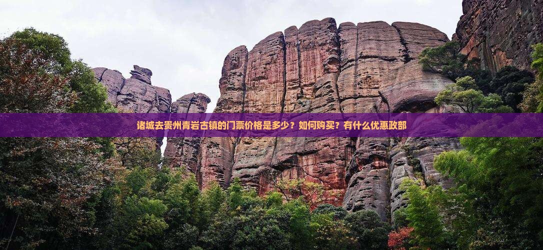 诸城去贵州青岩古镇的门票价格是多少？如何购买？有什么优惠政部
