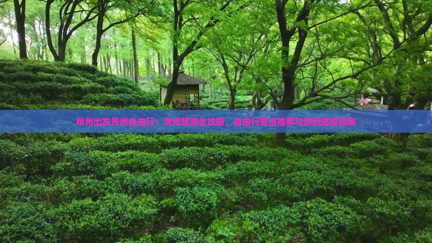 泉州出发贵州自由行：贵州旅游全攻略，自由行景点推荐与游玩路线指南