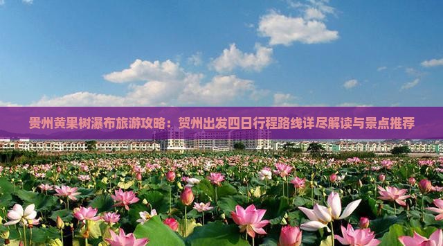 贵州黄果树瀑布旅游攻略：贺州出发四日行程路线详尽解读与景点推荐