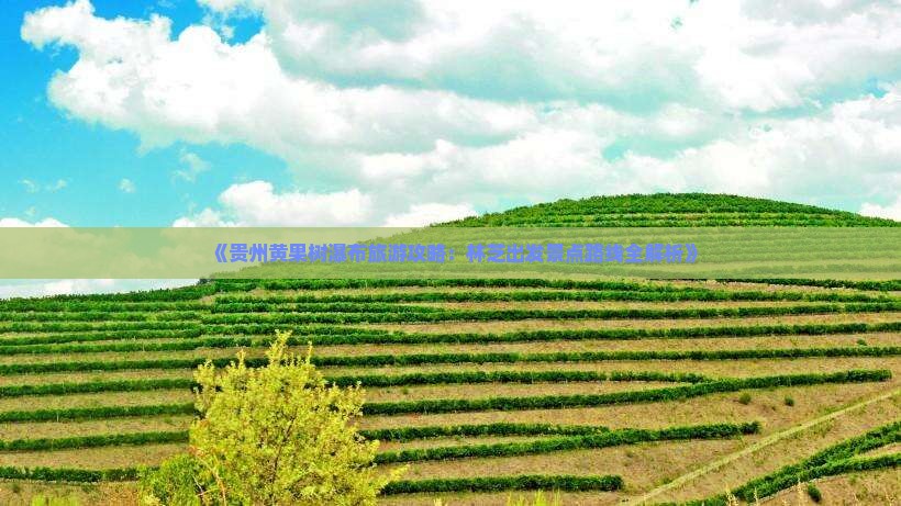 《贵州黄果树瀑布旅游攻略：林芝出发景点路线全解析》