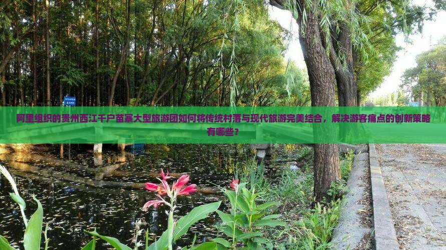 阿里组织的贵州西江千户苗寨大型旅游团如何将传统村落与现代旅游完美结合，解决游客痛点的创新策略有哪些？