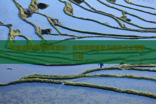 楚雄去贵州贵阳哪里玩：自驾游攻略及沿途景点公里数介绍