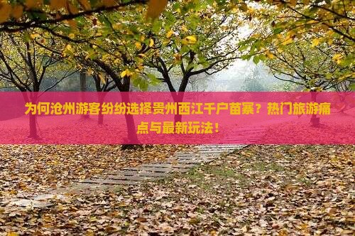 为何沧州游客纷纷选择贵州西江千户苗寨？热门旅游痛点与最新玩法！