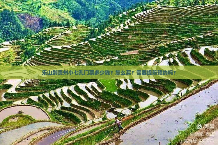 乐山到贵州小七孔门票多少钱？怎么买？需要提前预约吗？