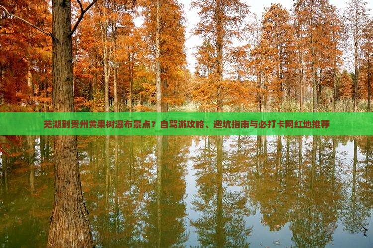 芜湖到贵州黄果树瀑布景点？自驾游攻略、避坑指南与必打卡网红地推荐