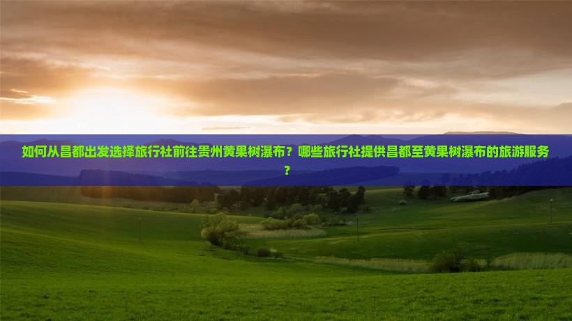 如何从昌都出发选择旅行社前往贵州黄果树瀑布？哪些旅行社提供昌都至黄果树瀑布的旅游服务？