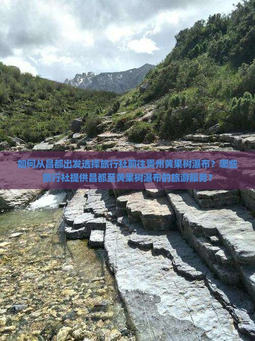 如何从昌都出发选择旅行社前往贵州黄果树瀑布？哪些旅行社提供昌都至黄果树瀑布的旅游服务？