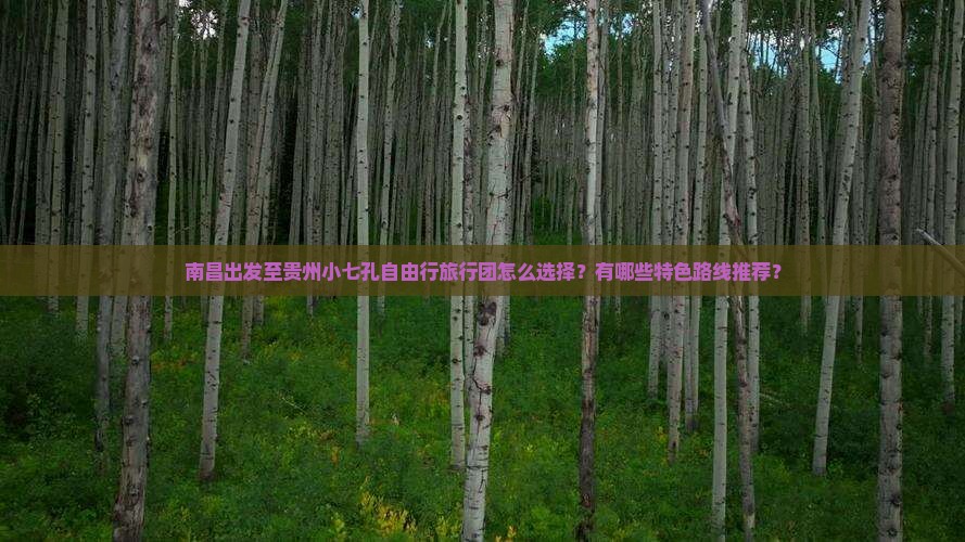 南昌出发至贵州小七孔自由行旅行团怎么选择？有哪些特色路线推荐？