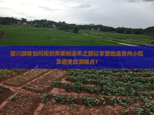 银川游客如何规划黄果树瀑布之旅以享受地道贵州小吃及避免旅游痛点？