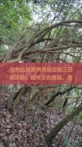 宿州出发贵州青岩古镇三日游攻略：独特文化体验、美食推荐与必游景点时光之旅