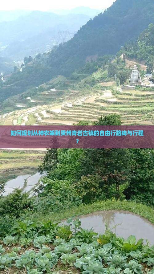 如何规划从神农架到贵州青岩古镇的自由行路线与行程？