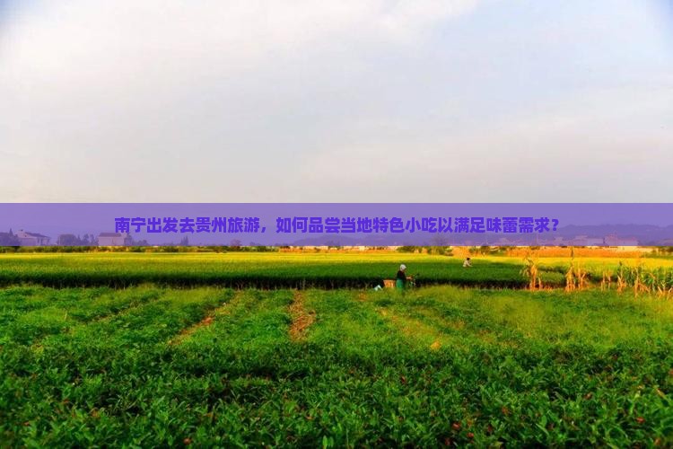 南宁出发去贵州旅游，如何品尝当地特色小吃以满足味蕾需求？