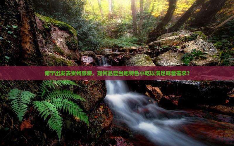 南宁出发去贵州旅游，如何品尝当地特色小吃以满足味蕾需求？