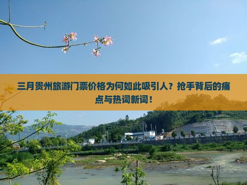 三月贵州旅游门票价格为何如此吸引人？抢手背后的痛点与热词新词！