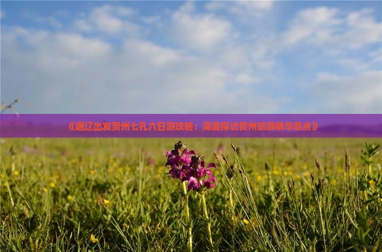 《通辽出发贵州七孔六日游攻略：深度探访贵州旅游精华景点》