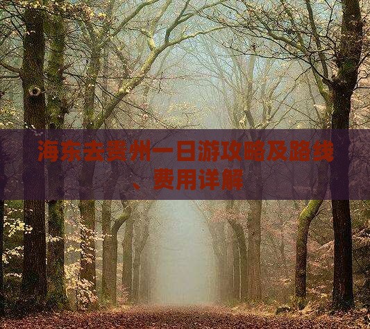 海东去贵州一日游攻略及路线、费用详解