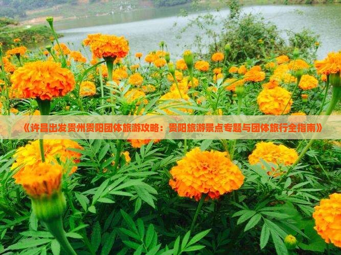 《许昌出发贵州贵阳团体旅游攻略：贵阳旅游景点专题与团体旅行全指南》