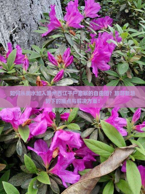 如何从衡水加入贵州西江千户苗寨的自由团？旅游新趋势下的痛点与解决方案！