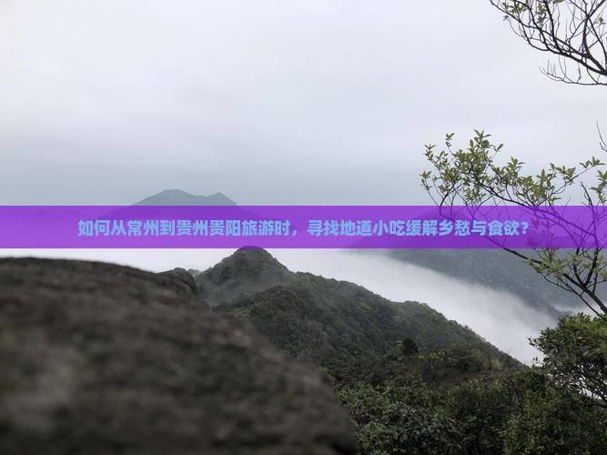 如何从常州到贵州贵阳旅游时，寻找地道小吃缓解乡愁与食欲？