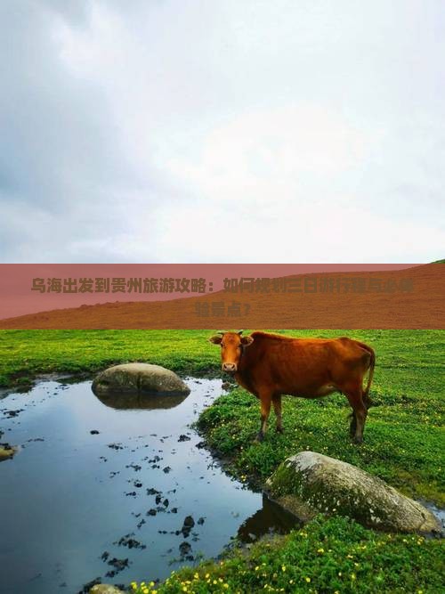 乌海出发到贵州旅游攻略：如何规划三日游行程与必体验景点？