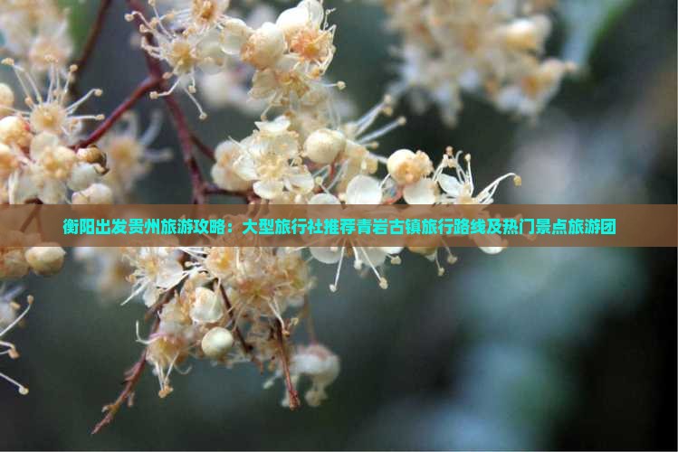 衡阳出发贵州旅游攻略：大型旅行社推荐青岩古镇旅行路线及热门景点旅游团