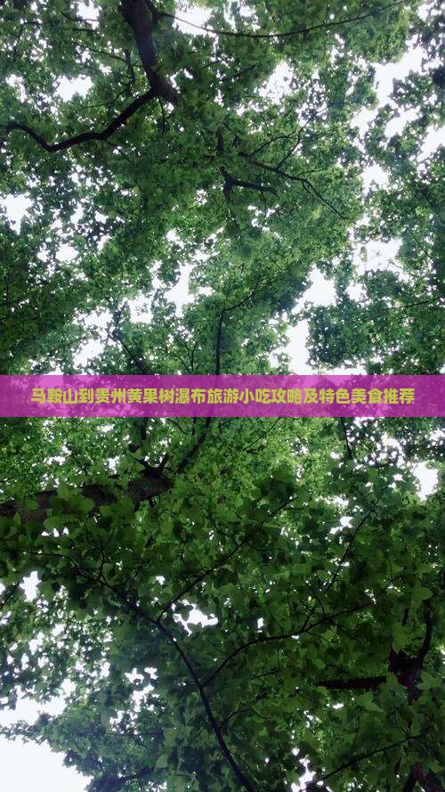 马鞍山到贵州黄果树瀑布旅游小吃攻略及特色美食推荐