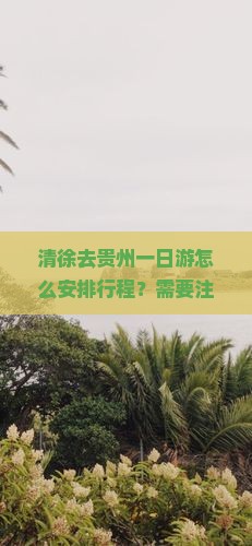 清徐去贵州一日游怎么安排行程？需要注意什么？