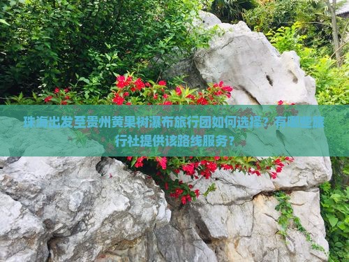 珠海出发至贵州黄果树瀑布旅行团如何选择？有哪些旅行社提供该路线服务？