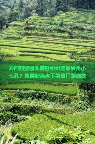 为何鹤壁团队游客纷纷选择贵州小七孔？旅游新痛点下的热门路线抉择！