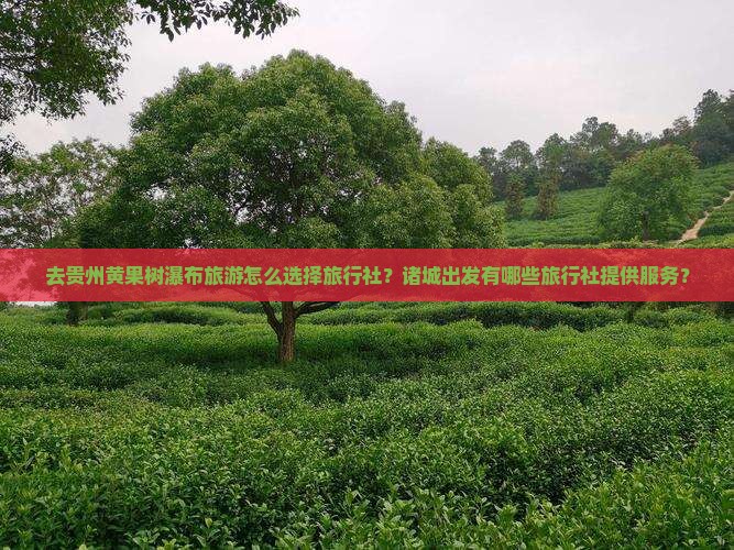 去贵州黄果树瀑布旅游怎么选择旅行社？诸城出发有哪些旅行社提供服务？
